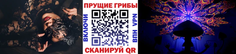 Купить  Кириллов  Галлюциногенные грибы ЛСД 